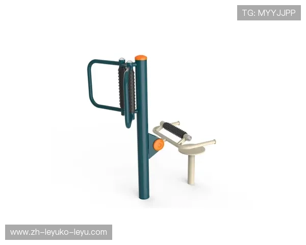 锻炼腰椎的健身器材 适合缓解腰部不适的器材