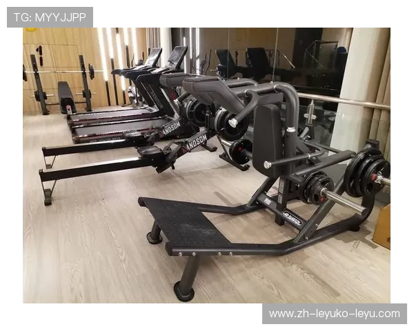 高端健身器材价格走势分析：如何合理选择性价比高的高端健身器材